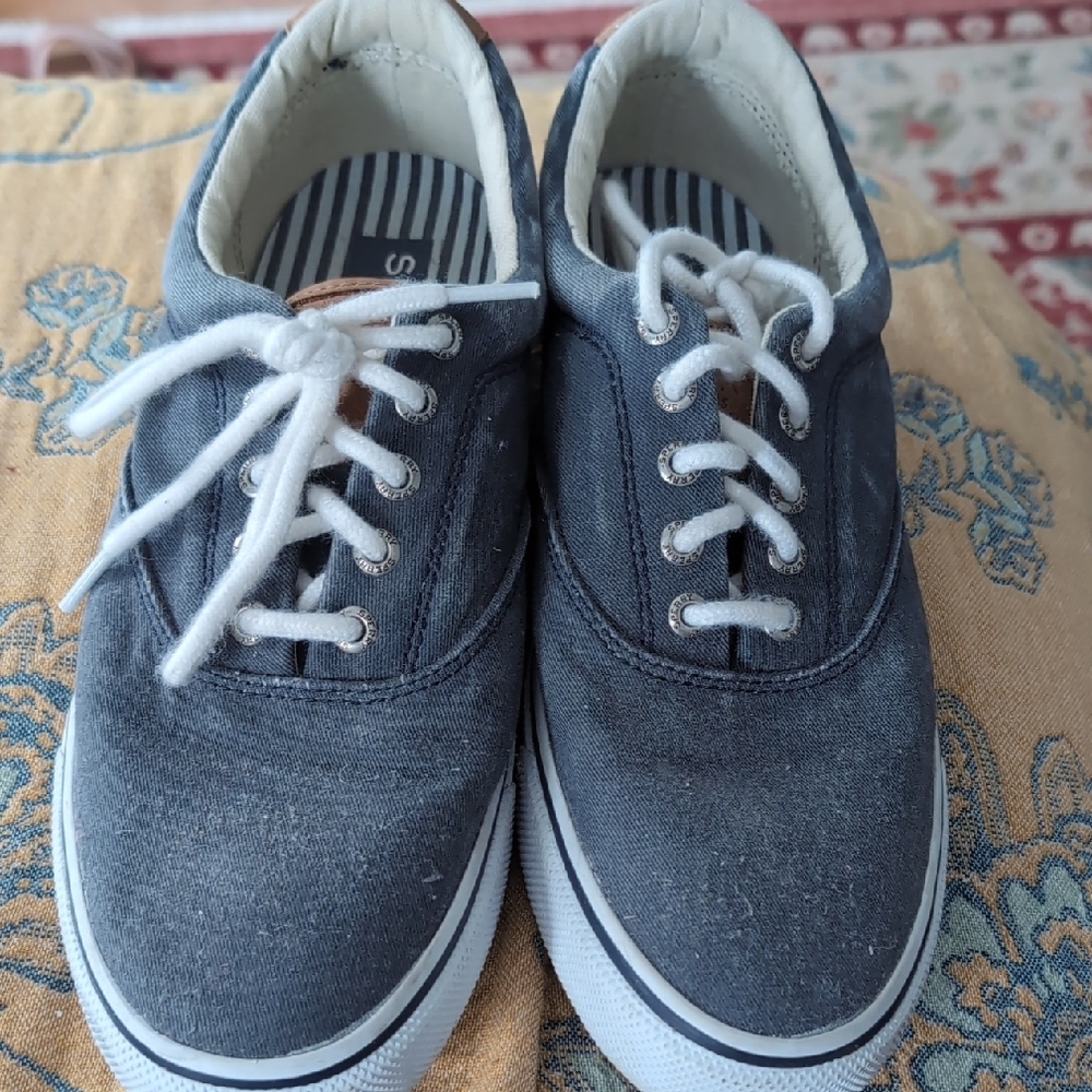 Sperry Men's Navy Canvas Sneakers
